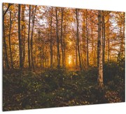 Tablou pe sticlă - Pădurea toamna (70x50 cm)