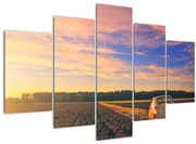 Tablou - Mașină galbenă ăn câmp (150x105 cm)