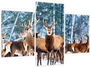 Tablou - Turma de căprioare (90x60 cm)