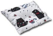 Perna bebelusi contra plagiocefaliei si pentru formarea corecta a capului Kidizi 30x25 cm Happy Kitten