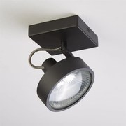 Plafoniera cu spot directionabil Jupiter 1, negru