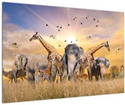 Tablou - Animae din Africa (90x60 cm)