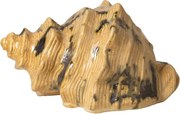 Decoratiune bej din ceramică in forma de scoica, "Ocean Whisper"