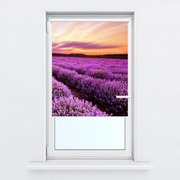 Fotojaluzele R012174R42150 (42x150 cm)