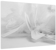 Tablou pe sticlă - Pene (70x50 cm)