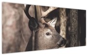 Tablou - Cerb în pădure (120x50 cm)