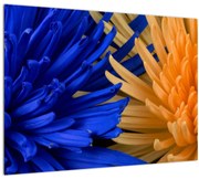 Tablou detailat cu flori (70x50 cm)