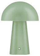 Veioza LED design decorativ ANDE verde, NVL-9050174