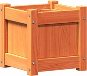 vidaXL Jardinieră de grădină, maro ceruit, 31x31x31 cm, lemn masiv pin