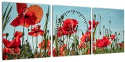 Tablou - Pe câmpul cu maci (cu ceas) (90x30 cm)