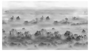 Tapet VLAdiLA Foggy Landscape Grey 520 x 300 cm