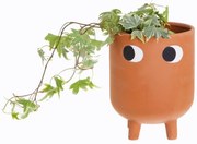 Ghiveci din teracotă Sass &amp; Belle Leggy, ø 12,1 cm