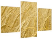 Tablou - Orz (90x60 cm)