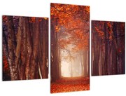 Tablou - Pădurea de toamnă (90x60 cm)