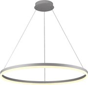 Brilagi - Lustră LED dimabilă suspendată pe cablu CIRCLE LED/55W/230V 3000-6500K argintiu + telecomandă