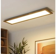 Plafonieră LED dimabilă Brilagi SLIMFRAME WOOD LED/58W/230V 124x34 cm + telecomandă