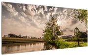 Tablou naturii cu raze de soae (120x50 cm)