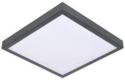 Plafonieră LED cu senzor VITALI LED/24W/230V 4000K