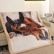 APEX Pătură cu blăniță CAL 150 x 200 cm