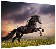 Tablou cu cai (70x50 cm), în 40 de alte dimensiuni noi