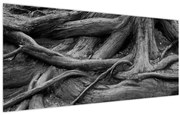 Tablou - Rădăcinile copacului (120x50 cm)