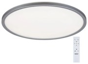 Rabalux 2290 - Plafonieră LED RGB dimabilă RASMUS LED/22W/230V + telecomandă