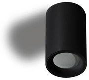 Spot aplicat tavan/plafon EIGER IP54 negru
