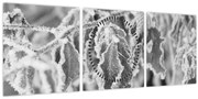 Tablou - Frunze înghețate,alb-negru (cu ceas) (90x30 cm)