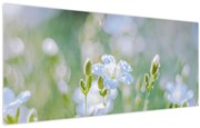 Tablou - Flori delicate (120x50 cm)
