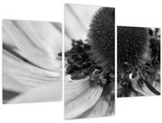 Tablou - Floare în alb-negru (90x60 cm)