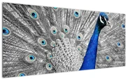Tablou - păun albastru (120x50 cm)