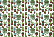 Fototapet - Cactus (152,5x104 cm), în 8 de alte dimensiuni noi