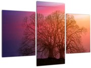 Tabloul pomilor în ceață (90x60 cm)