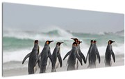 Tablou pinguini în ocean (120x50 cm)