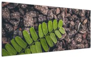 Tablou cu planta verde (120x50 cm)