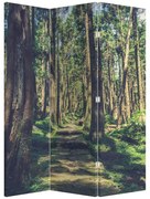 Paravan - Drum între copaci (126x170 cm)