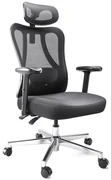 HBADA P3 Scaun ergonomic, cu suport lombar reglabil, tetieră reglabilă 2D, cotiere reglabile 2D, pivotant, Negru