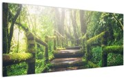 Tablou - trepte din lemn în pădure (120x50 cm)