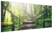 Tablou - trepte din lemn în pădure (120x50 cm)