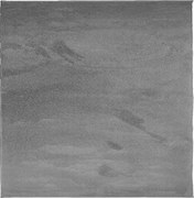 vidaXL Covor „OVIEDO”, fire scurte, antracit, 240x240 cm