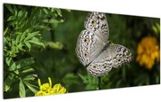 Tablou - fluture alb (120x50 cm)