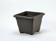 Plastia Ghiveci de flori Begonia 60 x 60, antracit