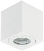 Spot pentru baie Emithor 48622 ALUX 1xGU10/35W/230V IP44 alb