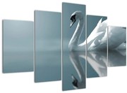 Tablou -Lebădă albă (150x105 cm)