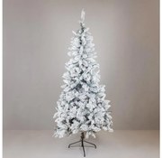 Brad de Crăciun SCOTLAND 210 cm, din brad