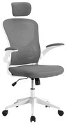 Scaun de birou ergonomic cu suport lombar si tetiera, gri