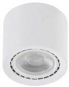 Spot aplicat de tavan/plafon ECO ALEX V2 alb