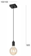 Lustră pe cablu ASTRID 1xE27/60W/230V negru mat