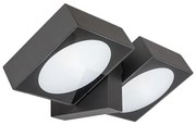 Aplică LED de exterior Rabalux 77101 TELDE 2xLED/7W/230V IP54 antracit