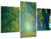 Tablou cu drum dea lungul cu copaci (90x60 cm)